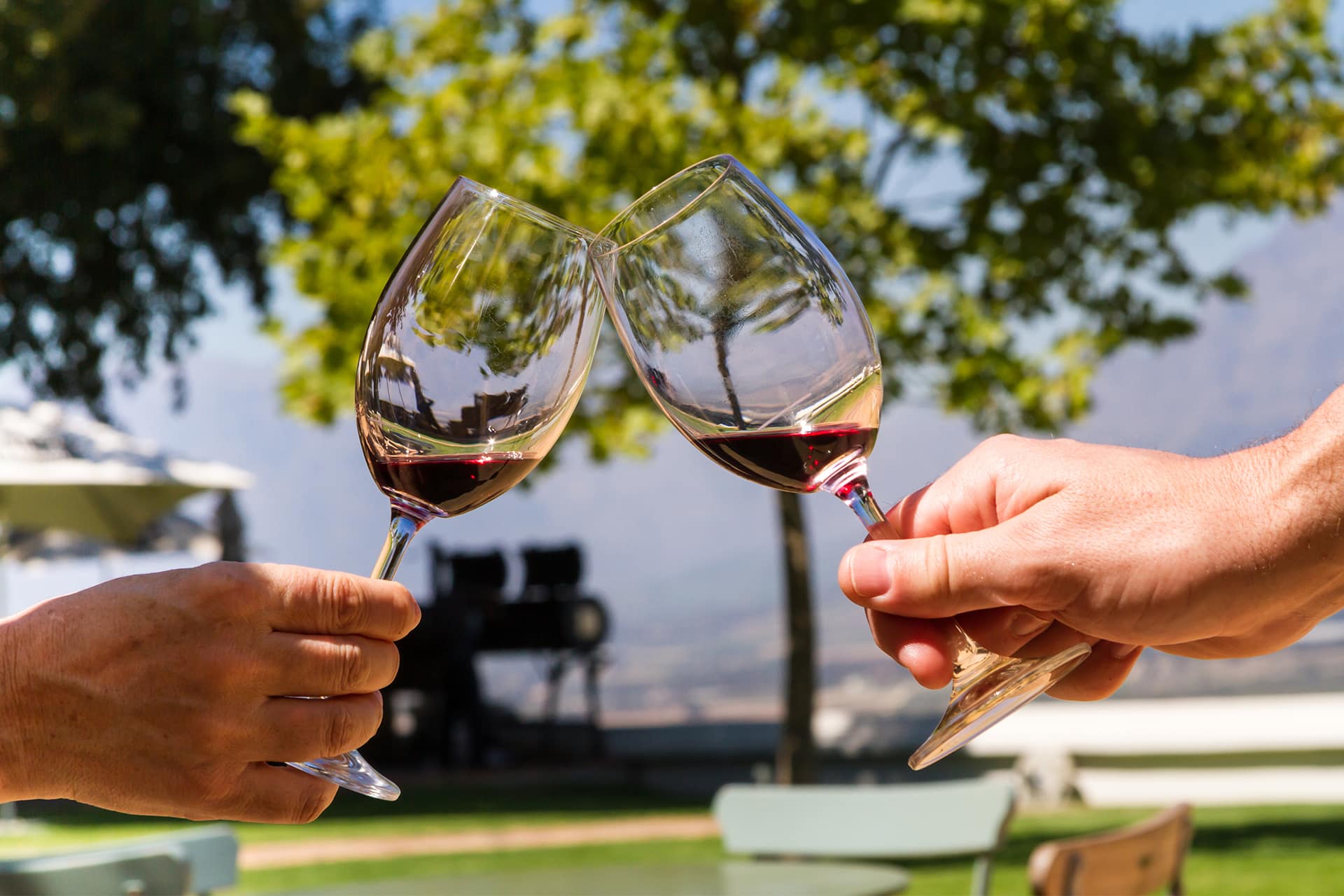 Two people drinking red wine with a background view of the beauty of South Africa.