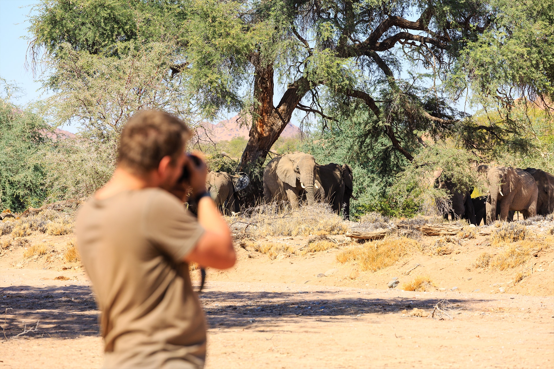 Photographer taking photos of natural wildlife and elephants of South Africa.