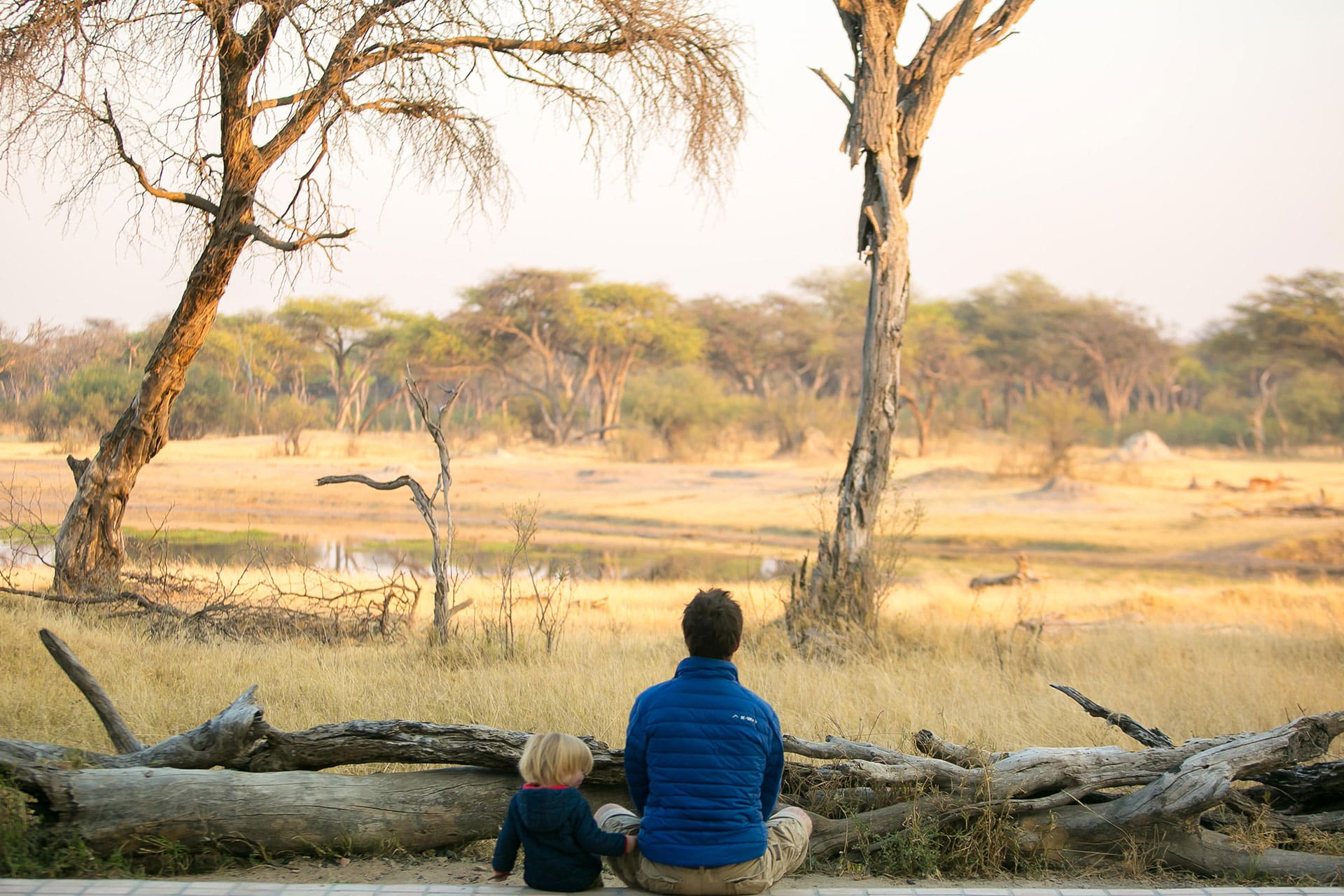 Tom's Little Hide, Zimbabwe which allows children under 10 free for an African safari with children