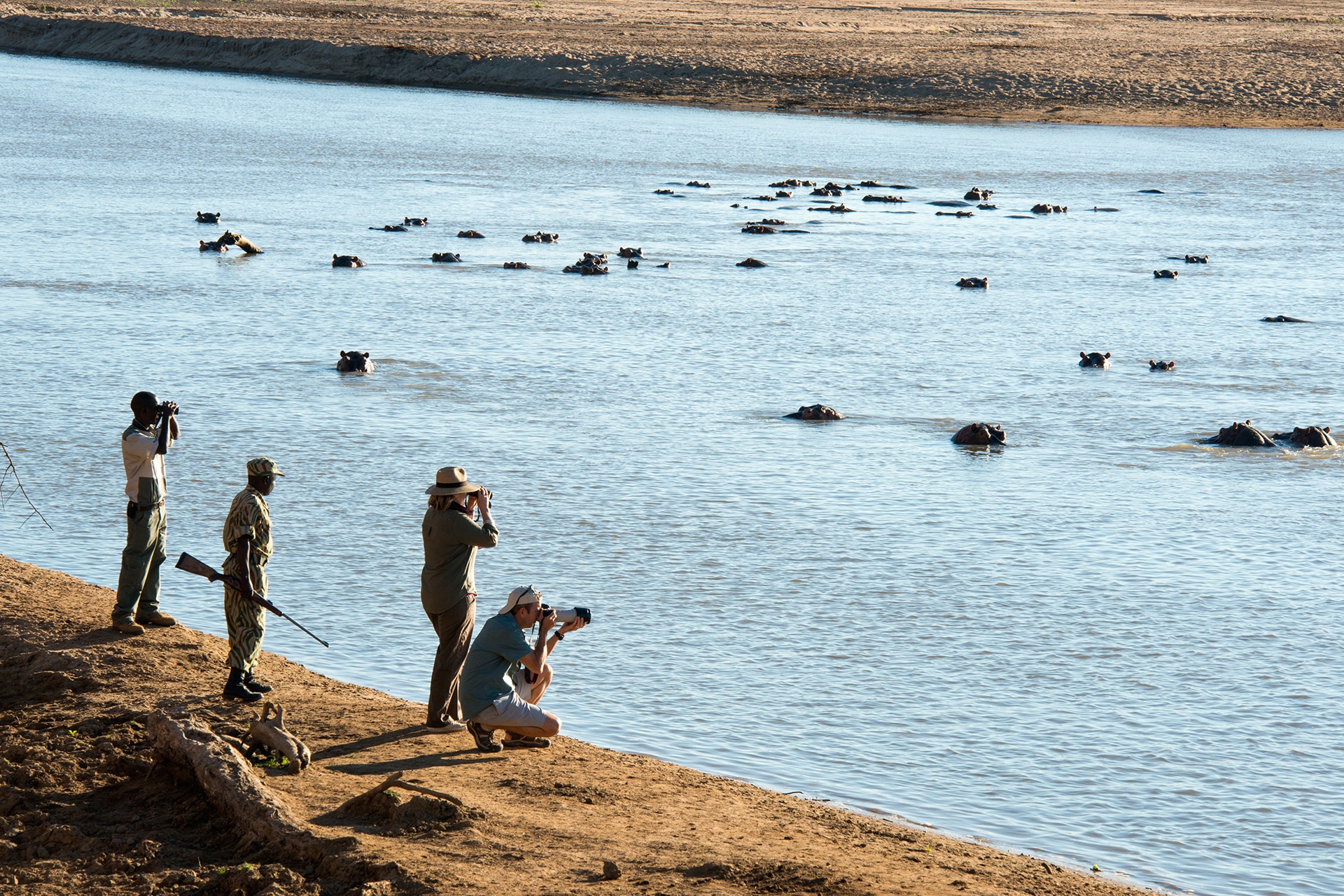 Photographers in Zambia taking photos from river bank of hippos bathing in river. African safari.