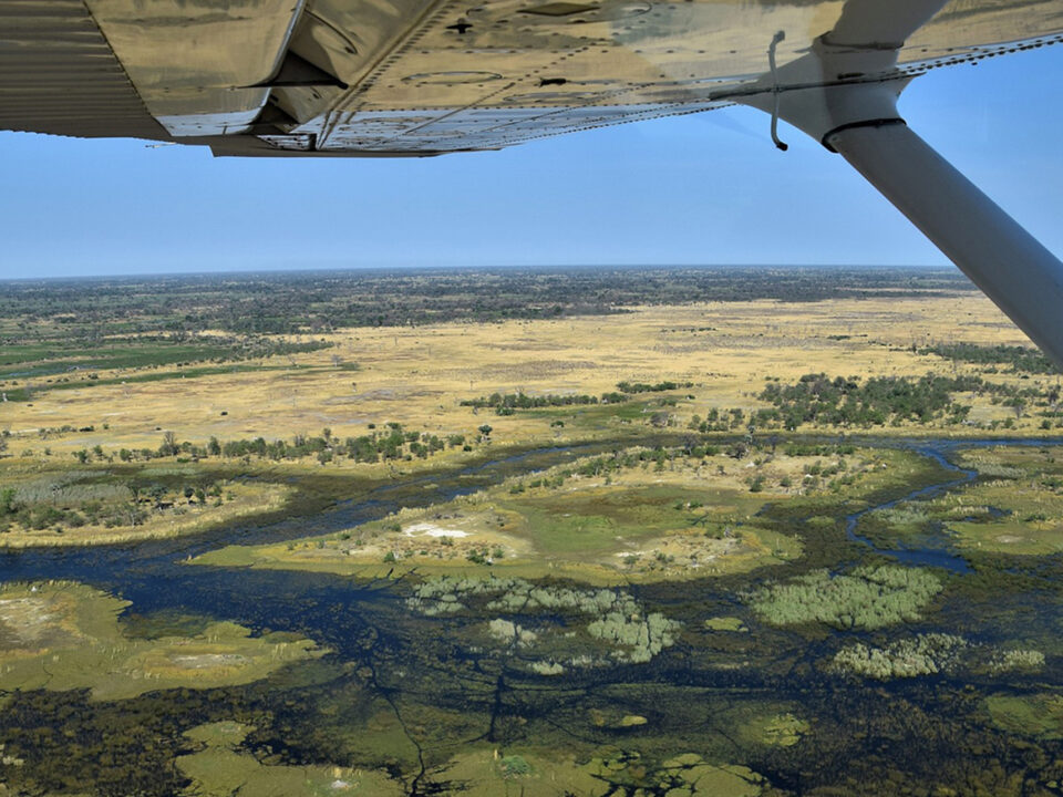 Light aircraft flight over Okavango Delta