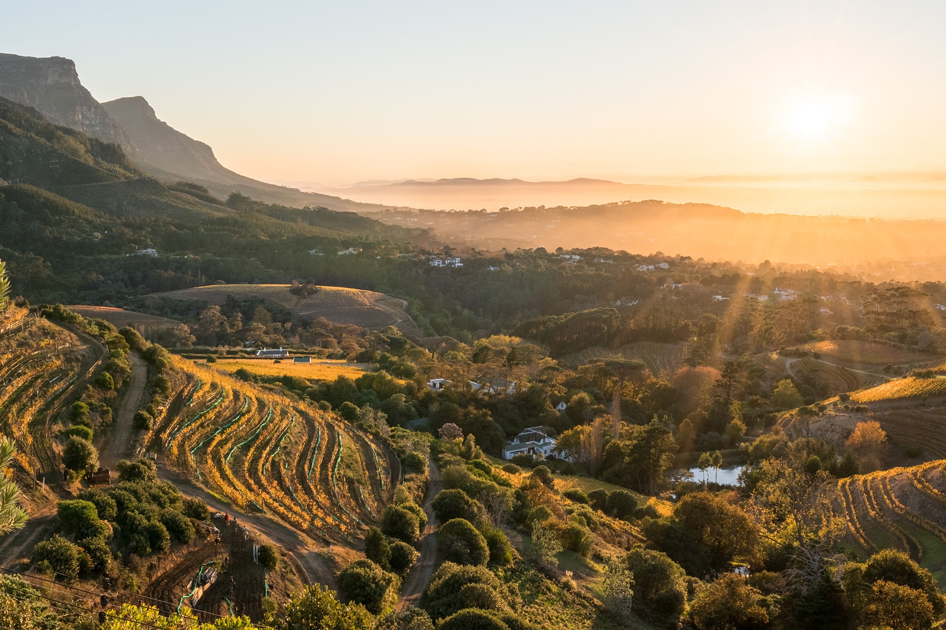 View of the Cape Winelands at sunset near Cape Town in South Africa
