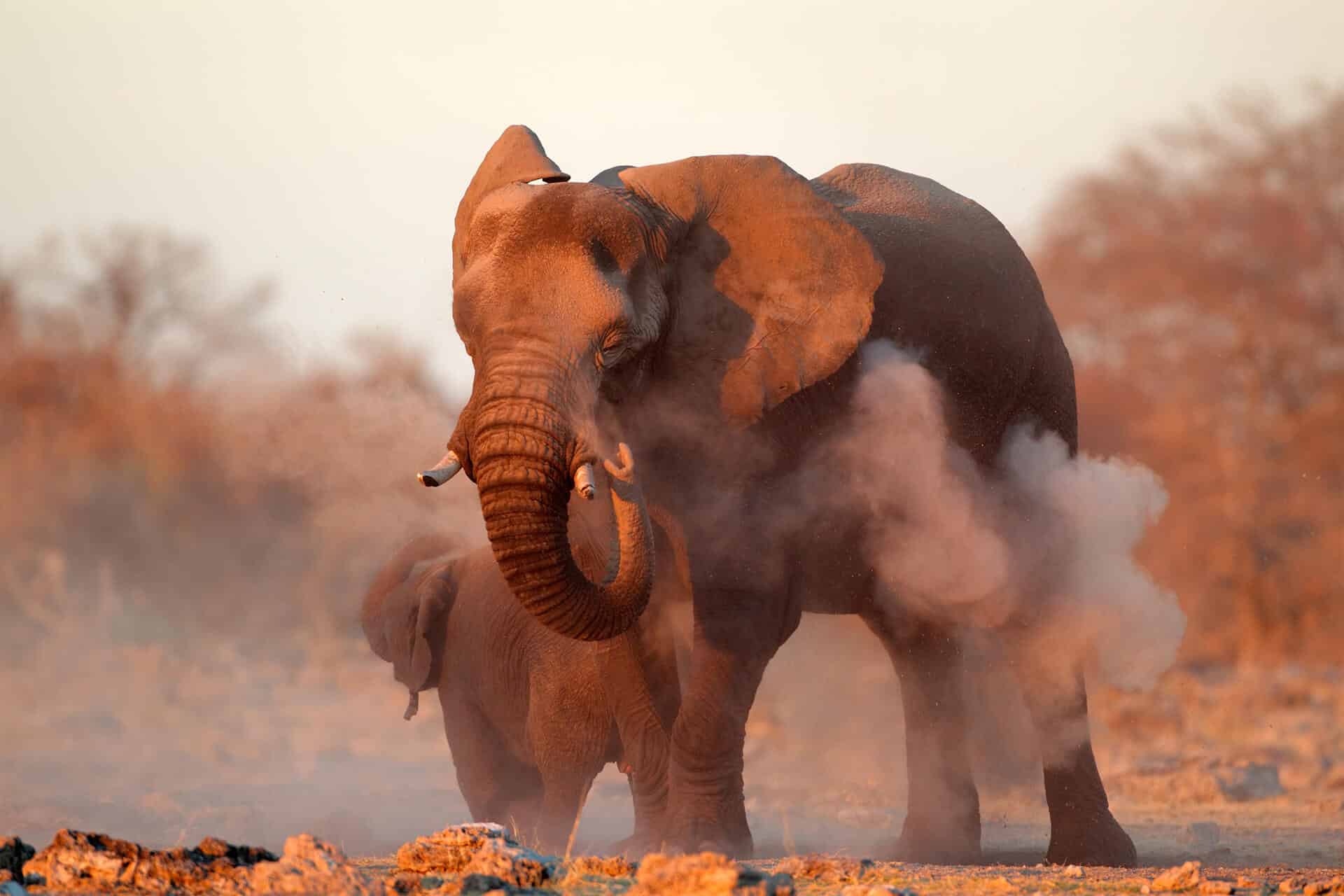 Namibia Luxury Safaris