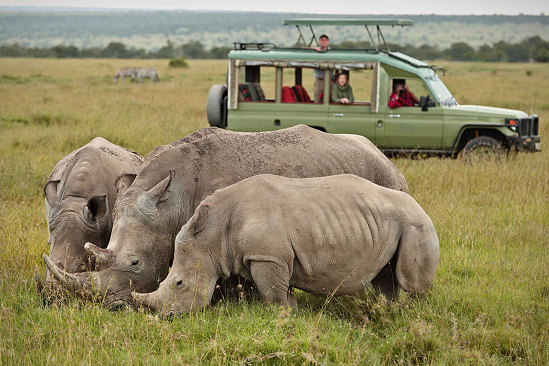 An electric safari vehicle gets up close to three rhino at Ol Pejeta Safari Camp