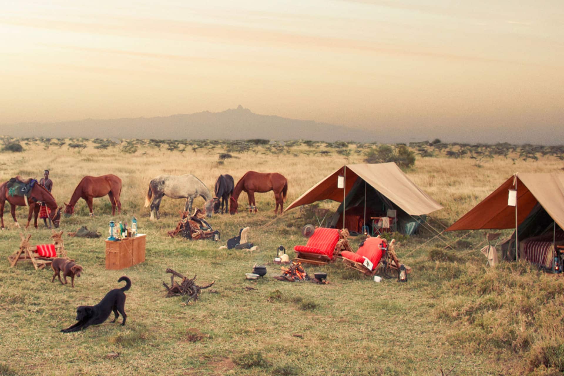 The mobile campsite at Ol Malo Nomad Camp on an African horseback safari