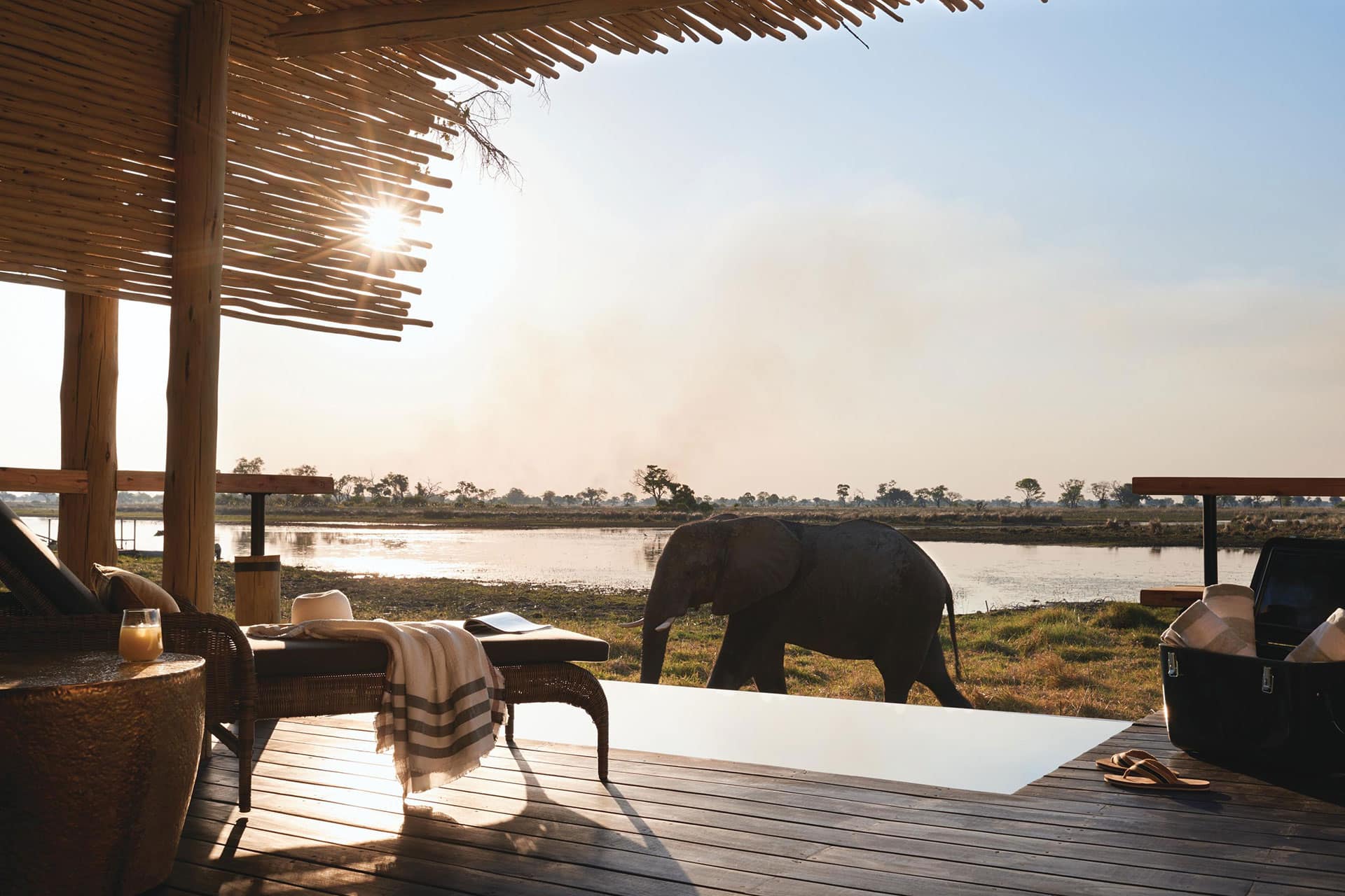 An elephant walking past a wooden deck with water in the background at Belmond Eagle Island Lodge