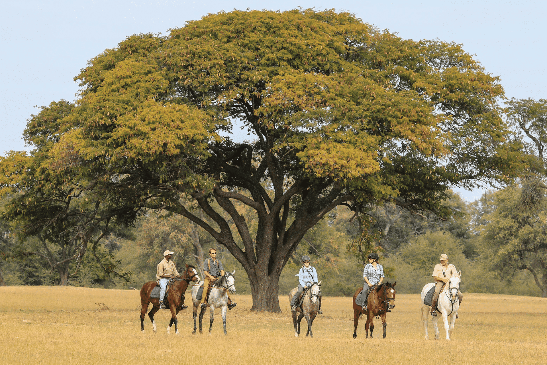 Horseback safaris at Camelthorn Lodge in Hwange National Park