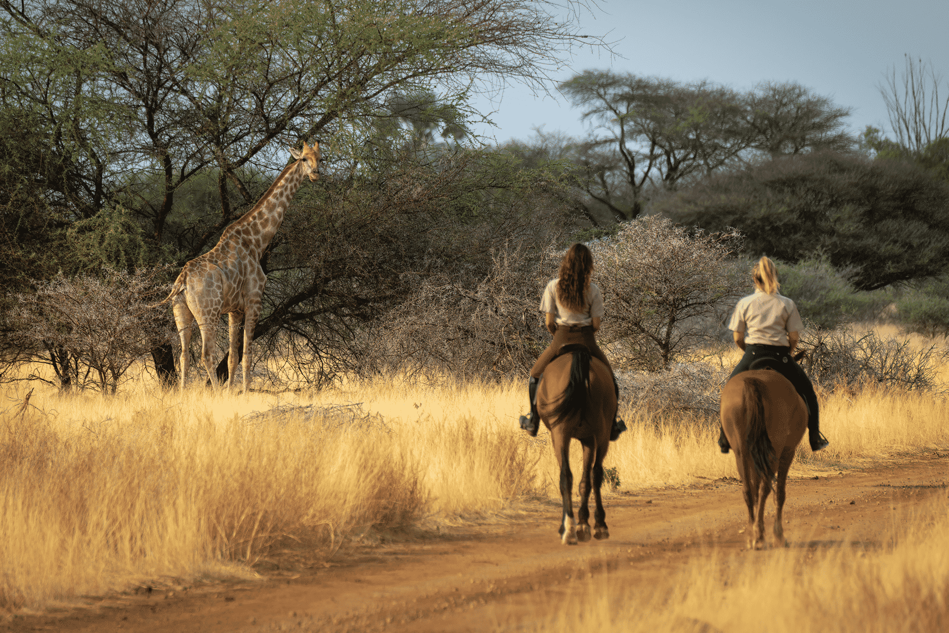 horseback-safari