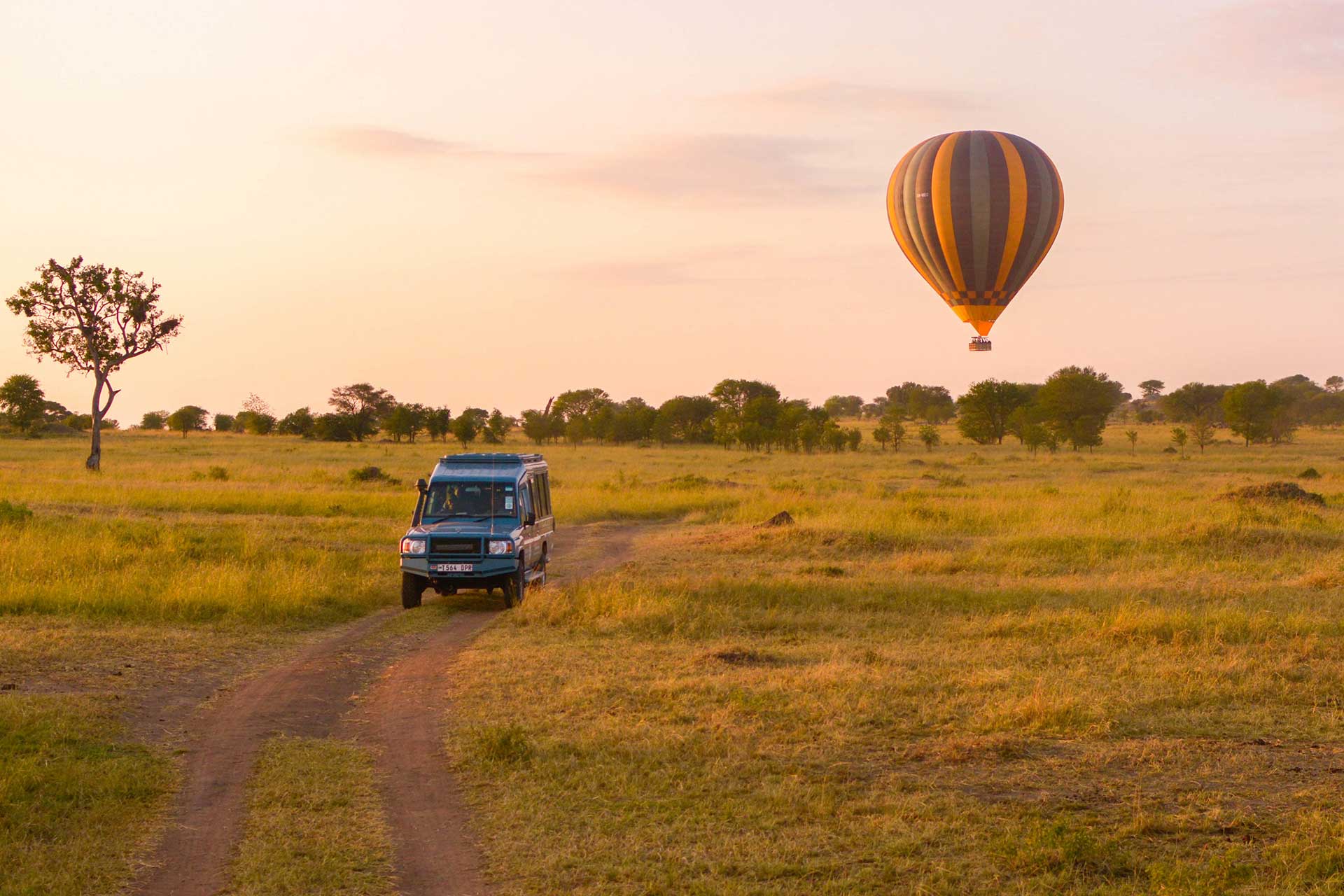 Balloon-Safaris-Feature