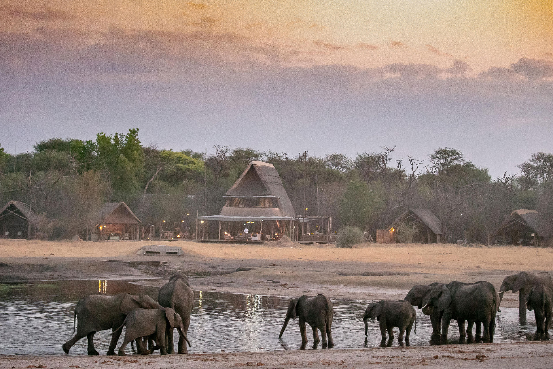 Elephants gather at a waterhole at The Hide in Zimbabwe