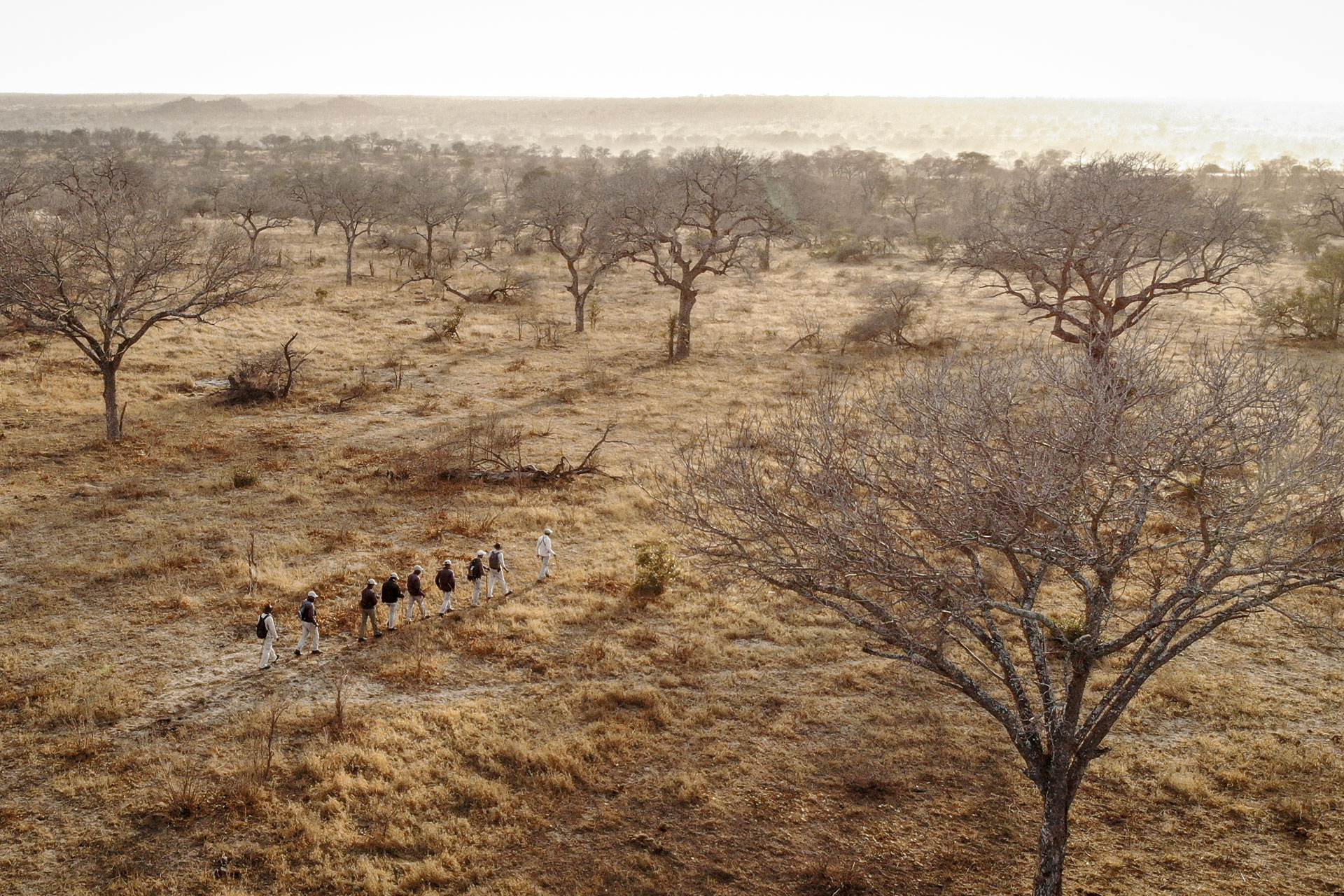 People walking in a line on a walking safari in Africa.