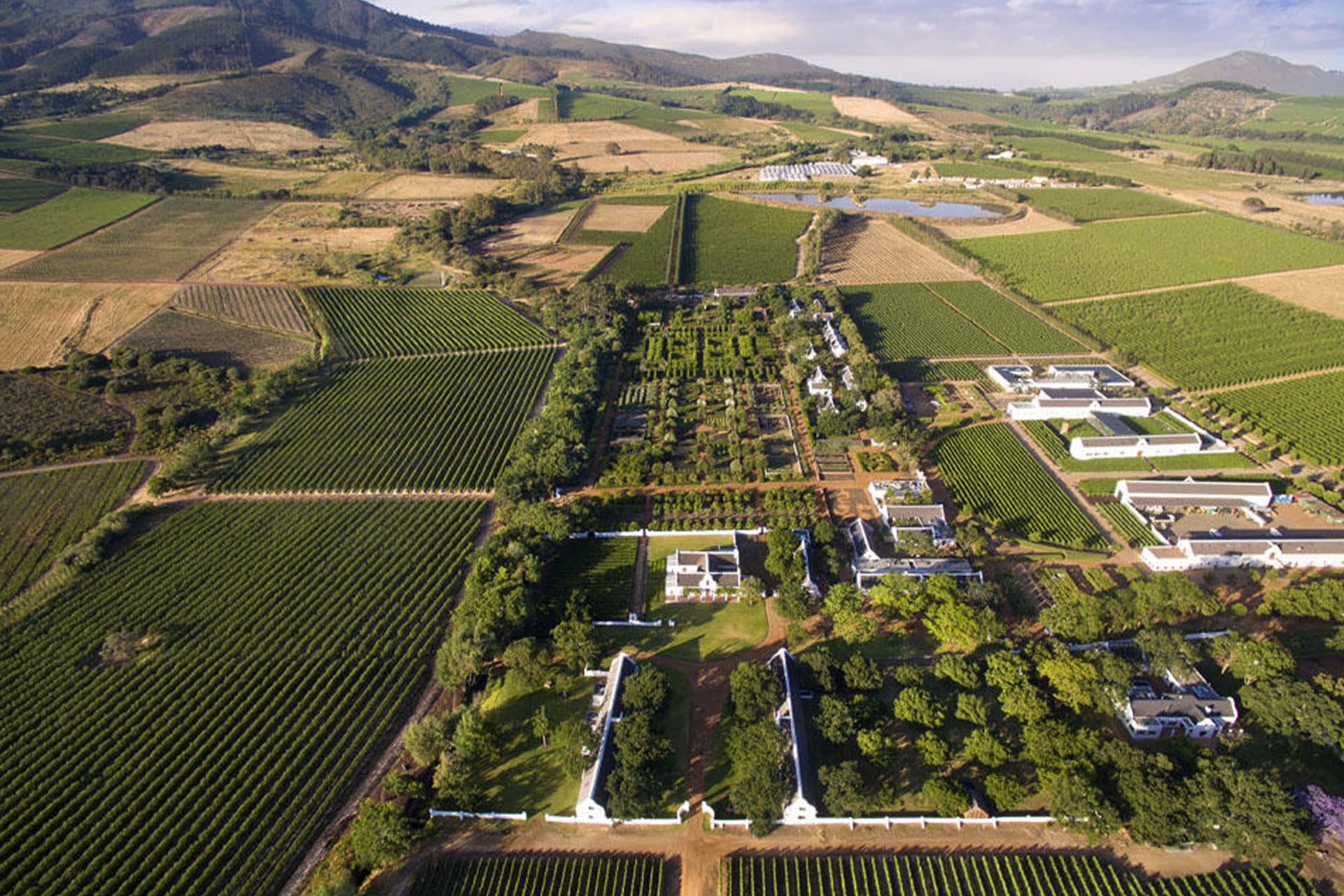 A drone shot of Babylonstoren Farm and Hotel with vineyards and mountains.