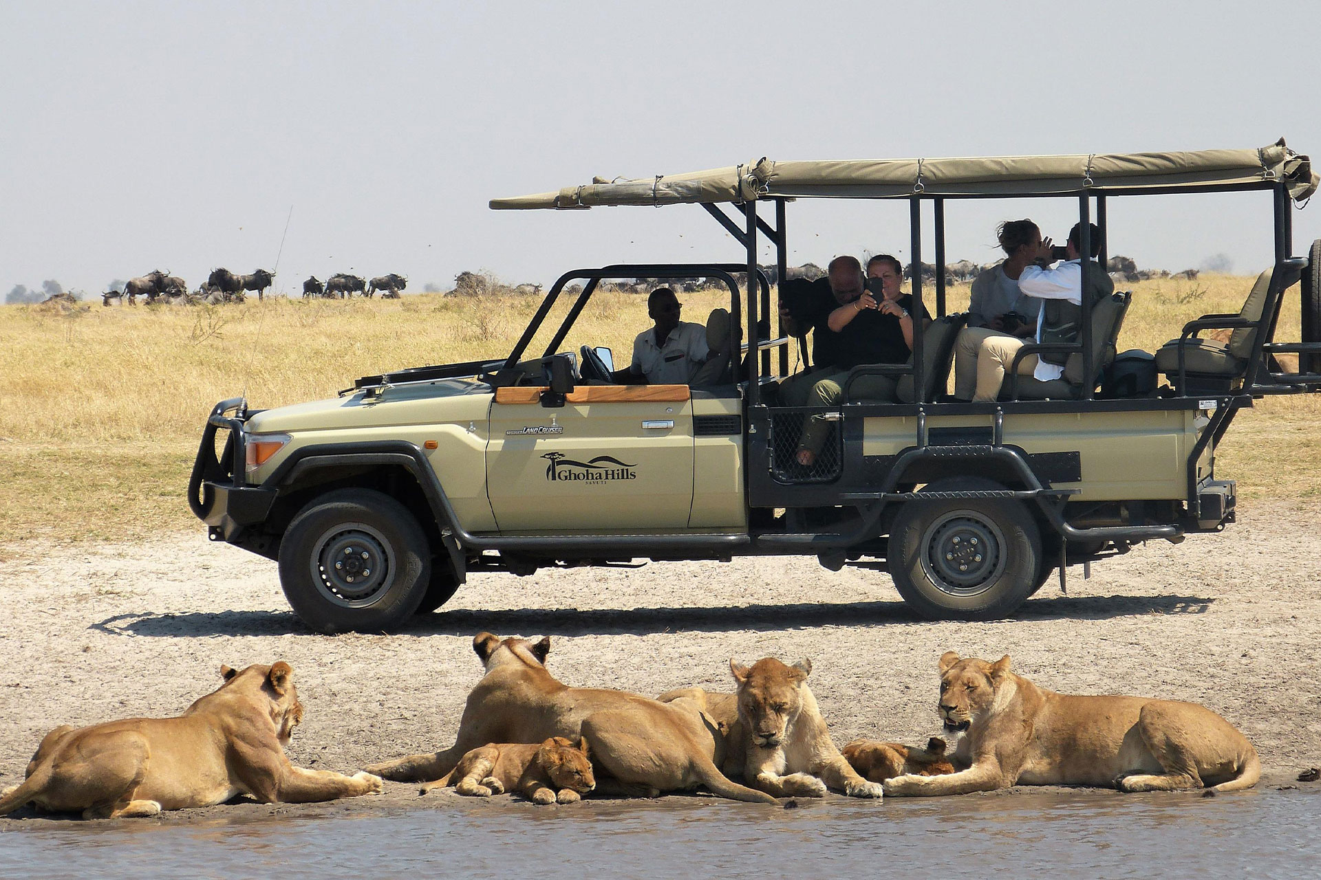 A safari vehicle and people watching lionesses and cubs lying alongside water at Ghoha Hills Savuti.
