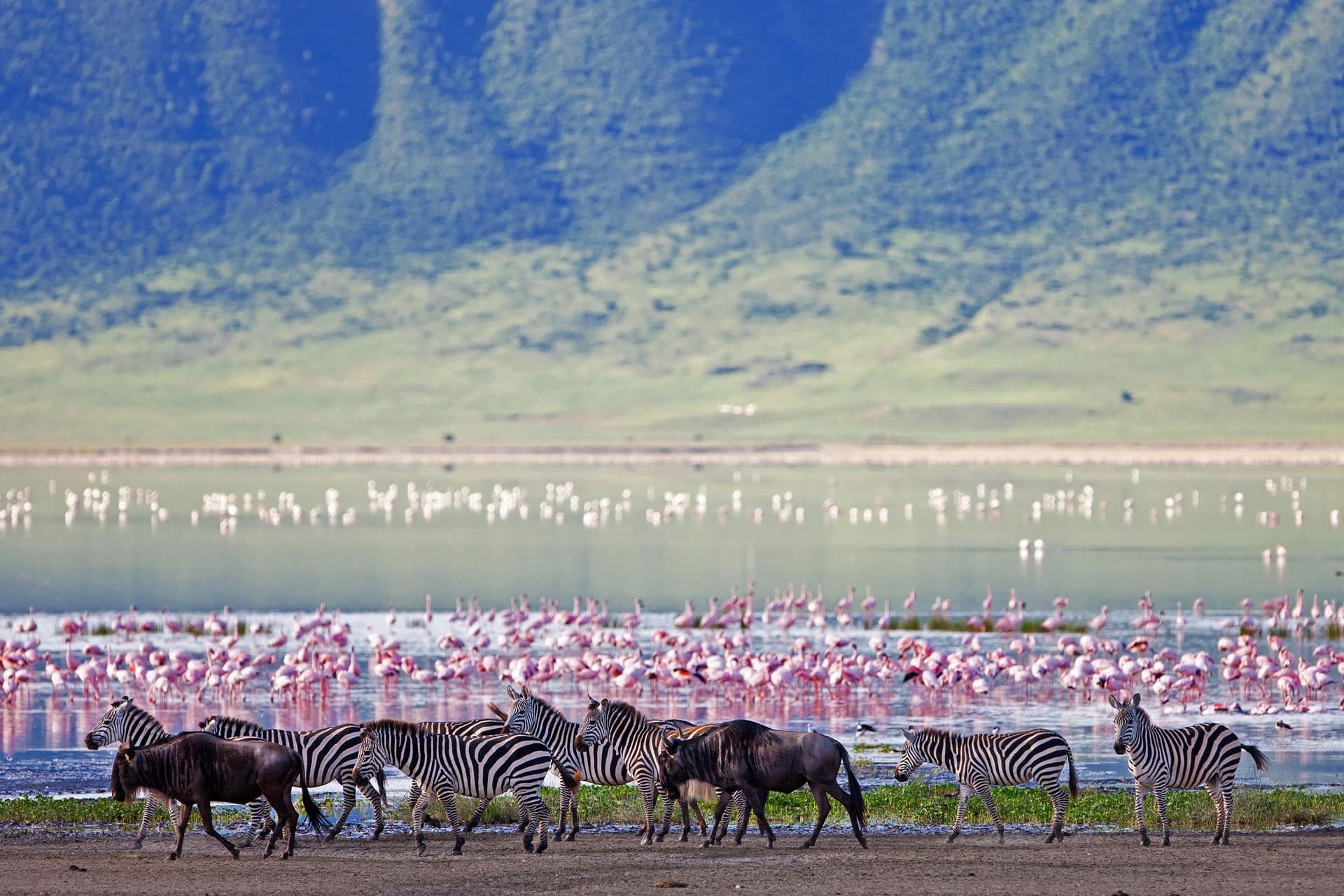 The magnificent Ngorongoro Crater in the Serengeti in Tanzania.