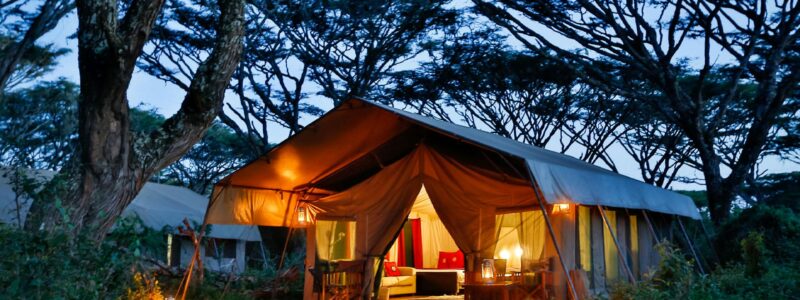 Tented-accommodation