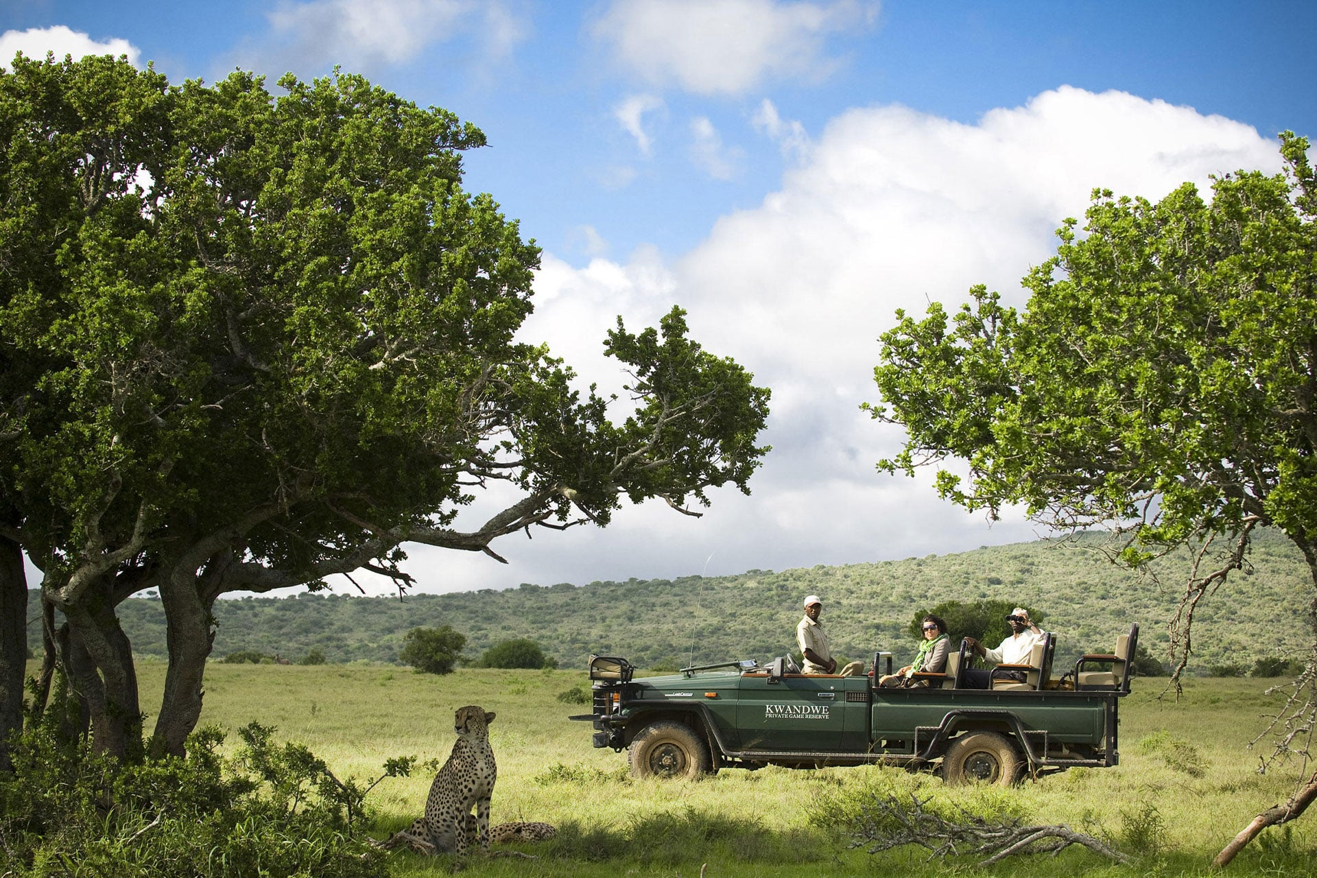 Two cheetahs under a tree and a game drive vehicle on a safari in Kwandwe Private Game Reserve.