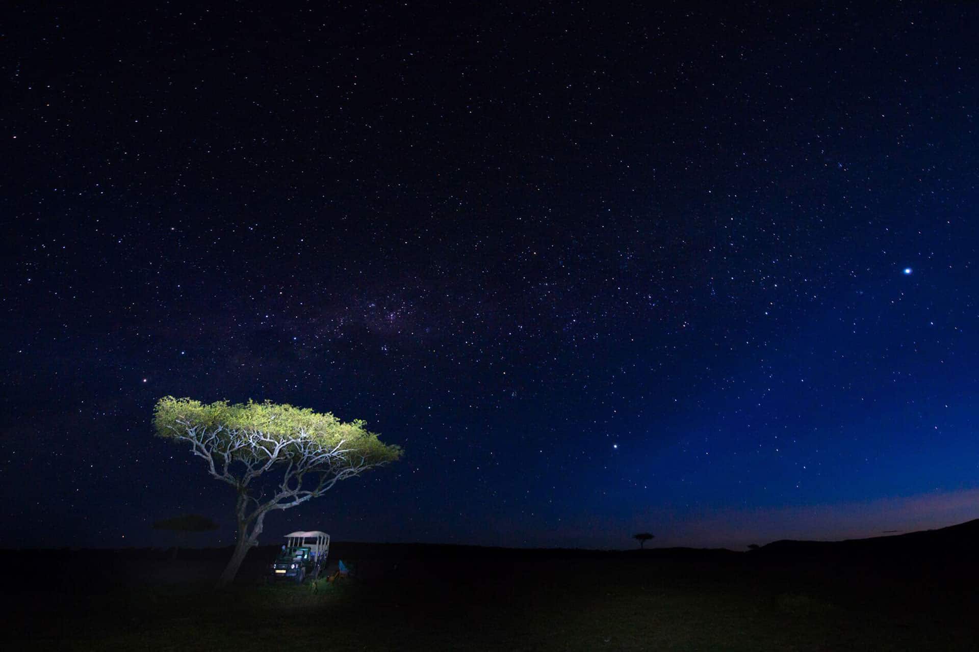 A safari vehicle and a tree lit up by the stars at night in the Loliondo Concession at Taasa Lodge.