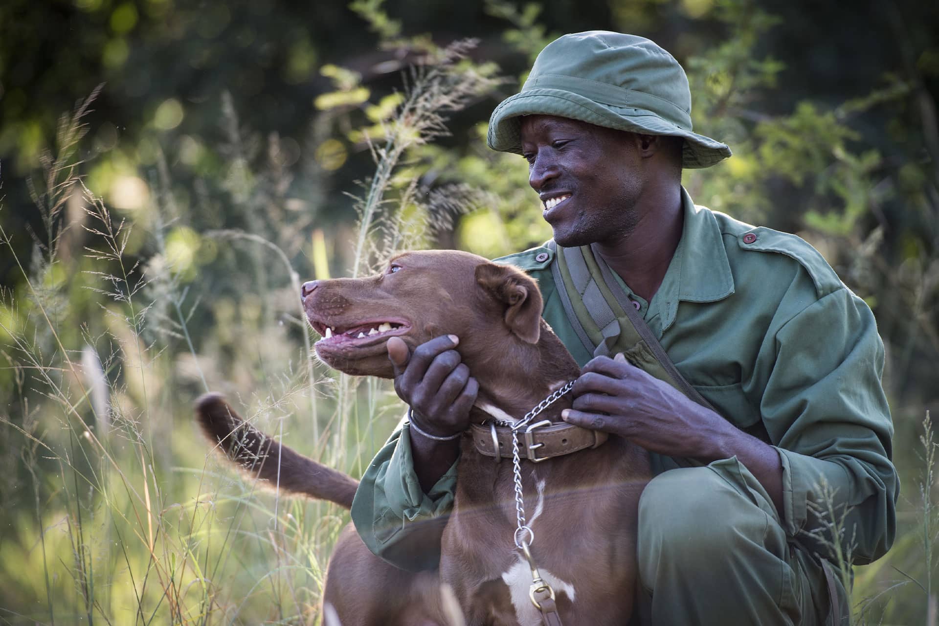 A ranger and dog used as part of Singita Sabi Sands’ dedicated anti-poaching canine unit.