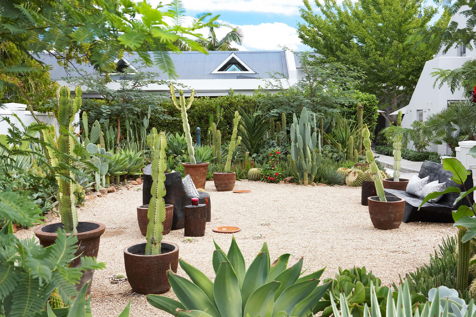 The cacti and succulent garden with sun loungers at the Robertson Small Hotel in Robertson.