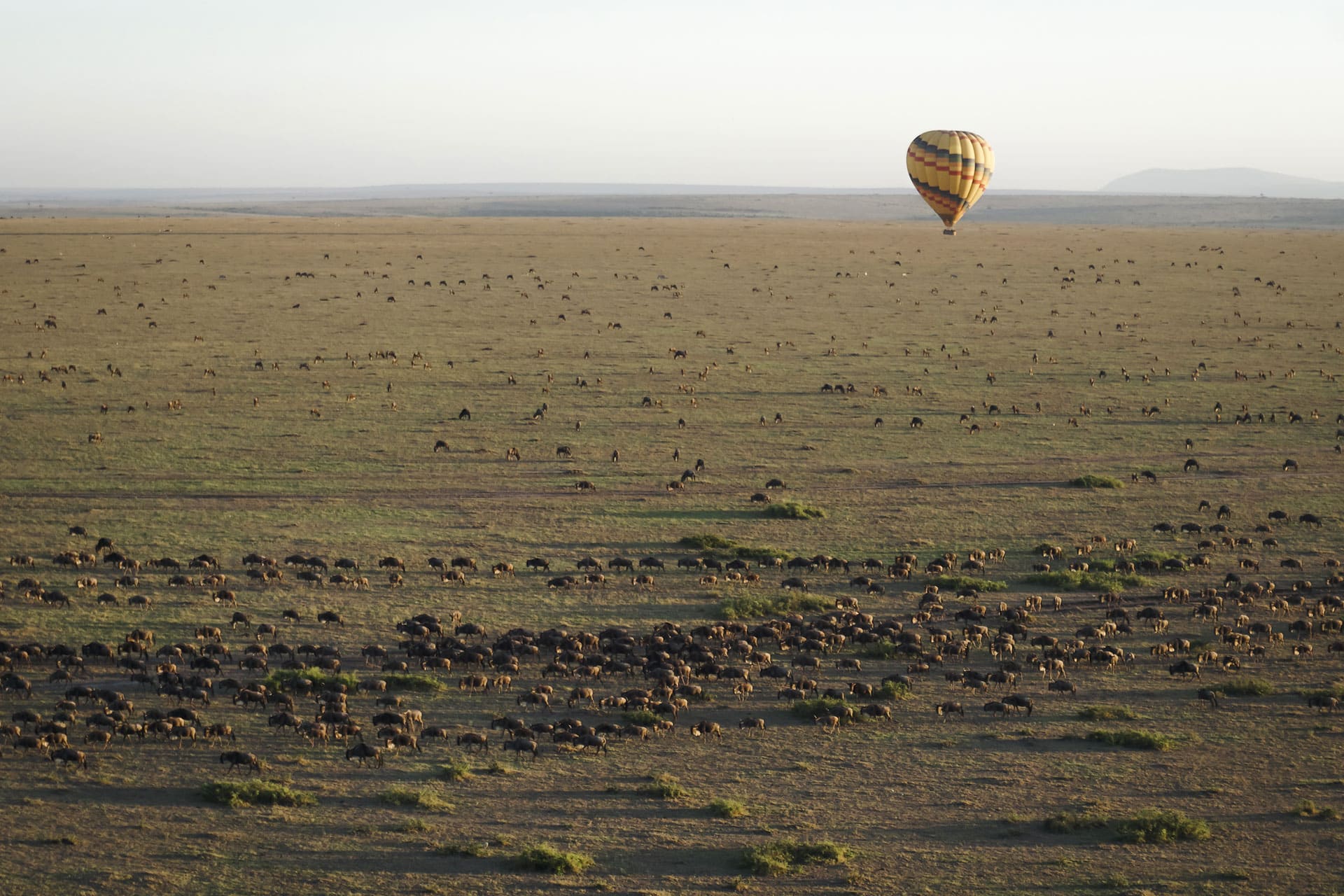 A hot air balloon safari over the plain of the Serengeti National Park in Tanzania – one of the top honeymoon destinations in Africa.