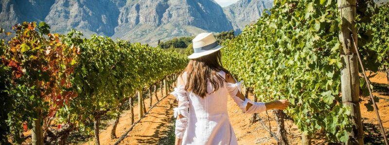 The-Jewel-of-the-Cape-Winelands