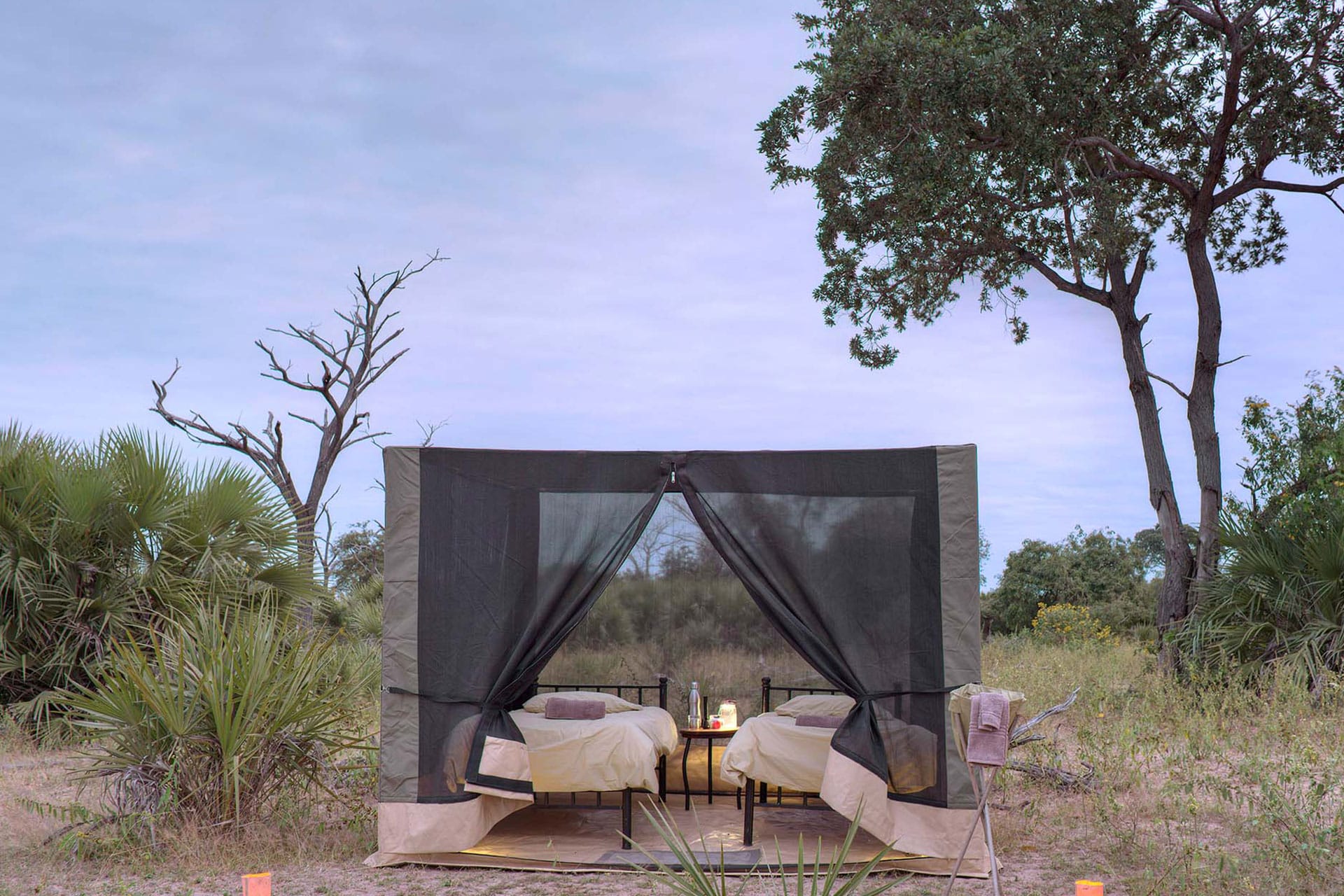 A tent sent up for fly-camping at Usanga Expedition Camp – a new luxury lodge in Africa opening in 2022.