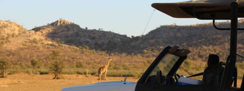 game drive - Safari to Namibia