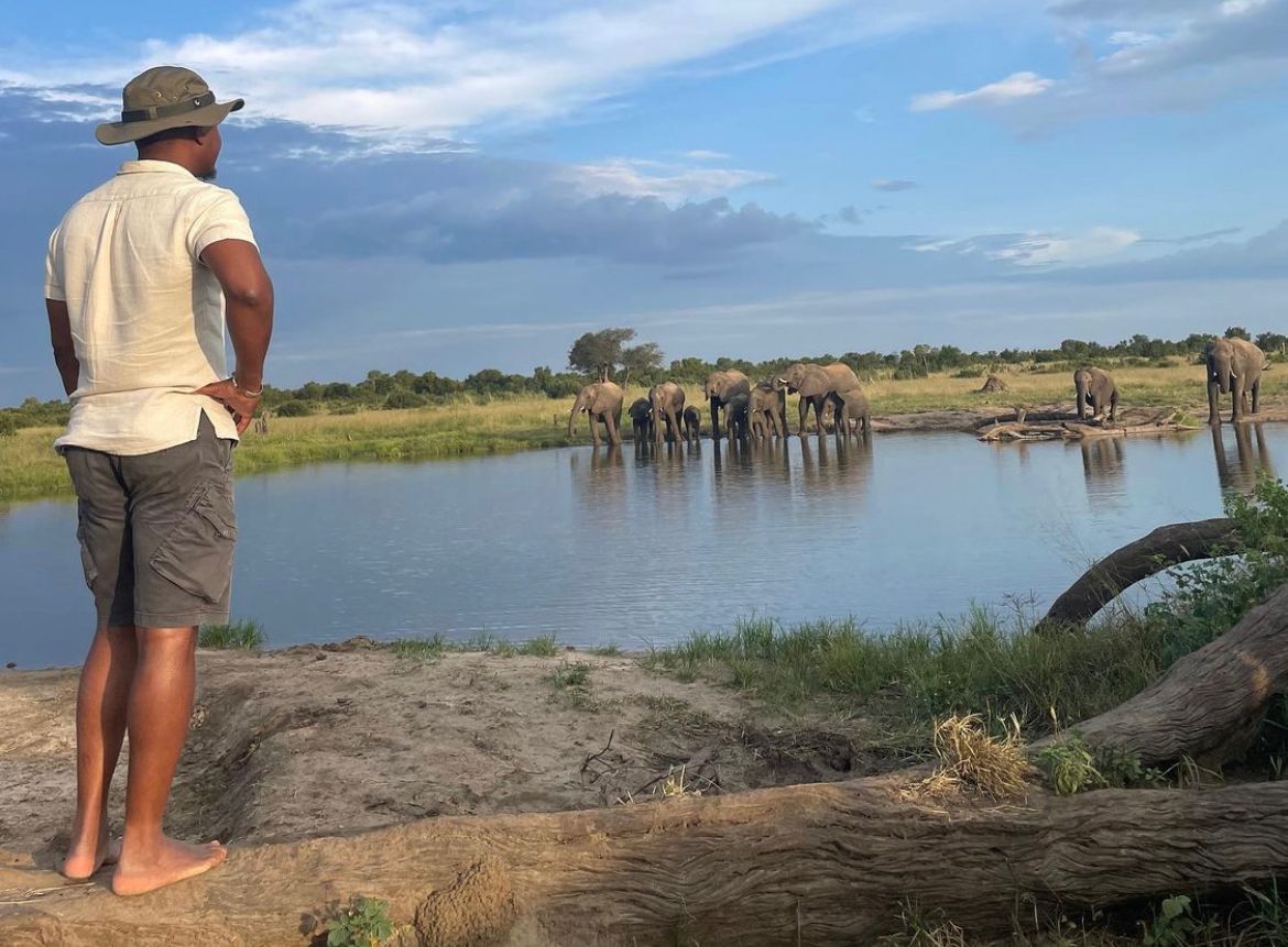 Beks Ndlovu standing overlooking a waterhole with elephants drinking.