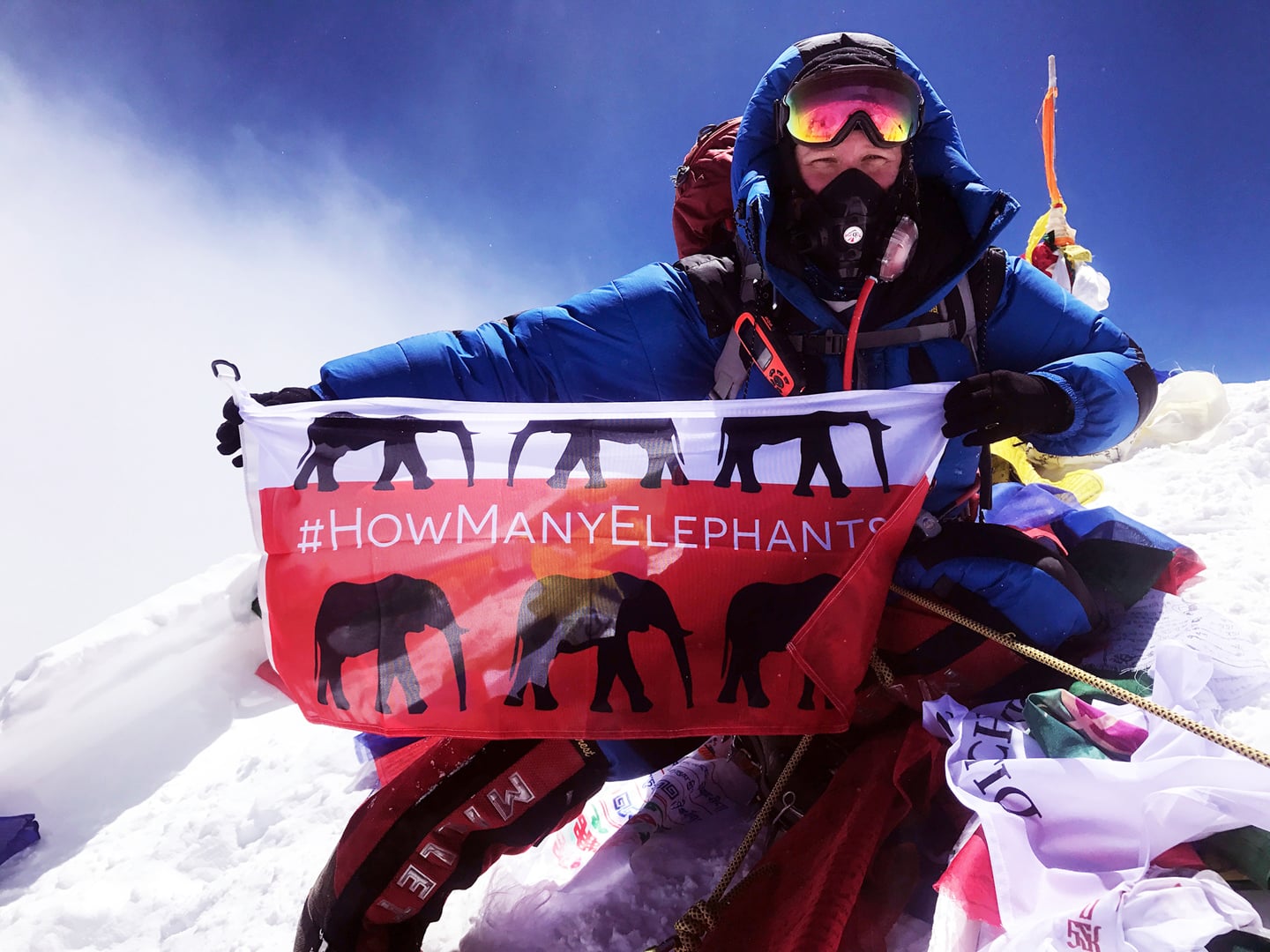 Holly Budge with the How Many Elephants flag high on the top of Mount Everest.