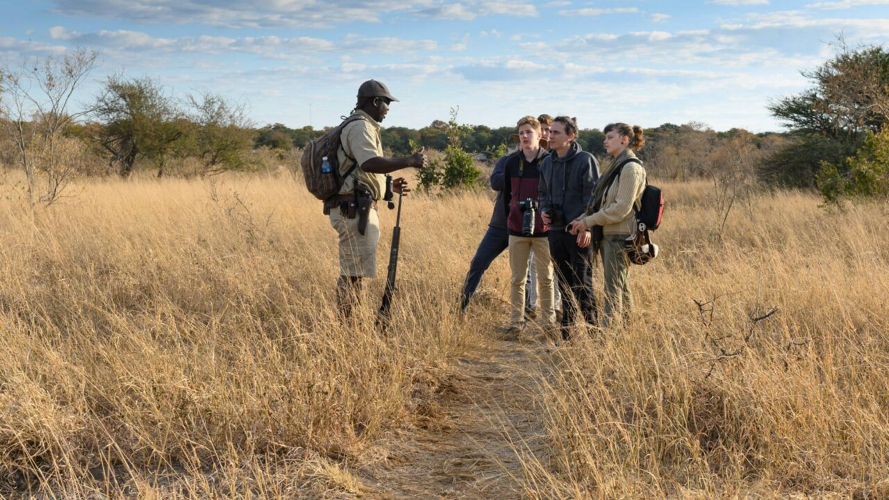 Gomoti plains walking in progress with tour guide