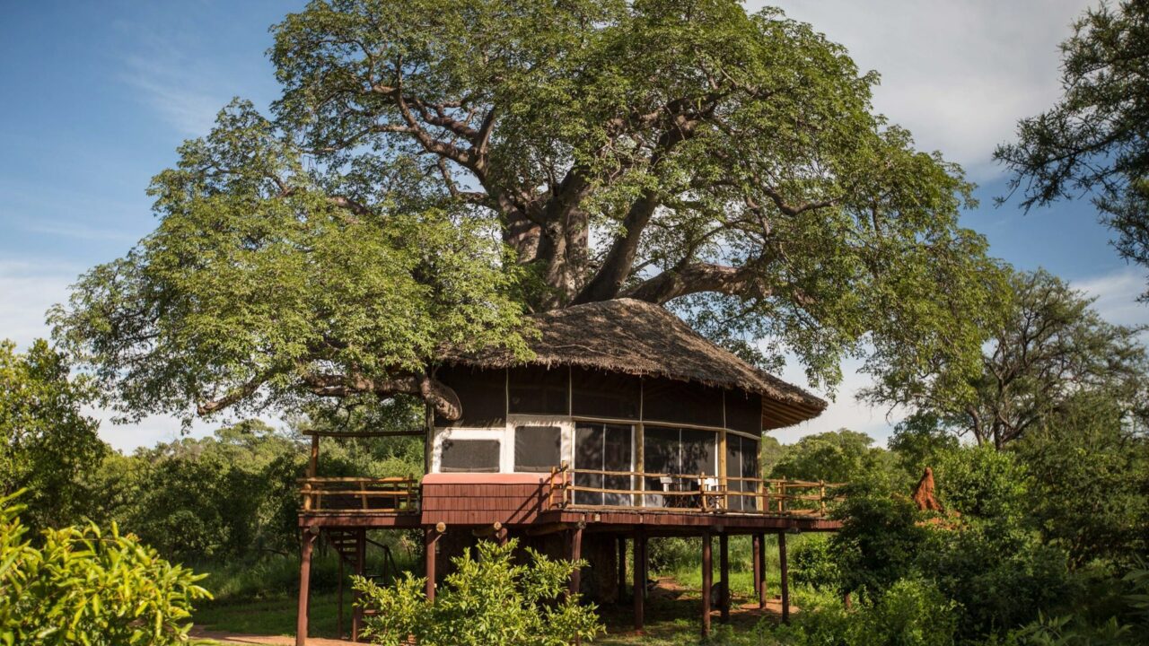 Africa wonders - Elewana Tarangire Treetops