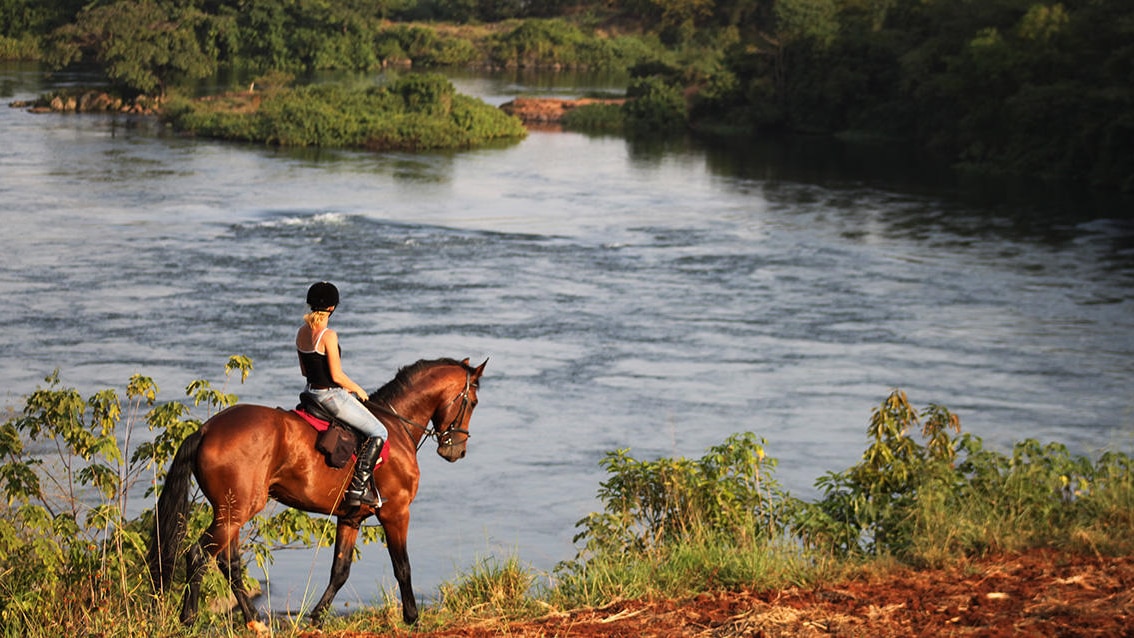 Experience breathtaking scenery on horseback - a delightful activity along the Nile River in Uganda.