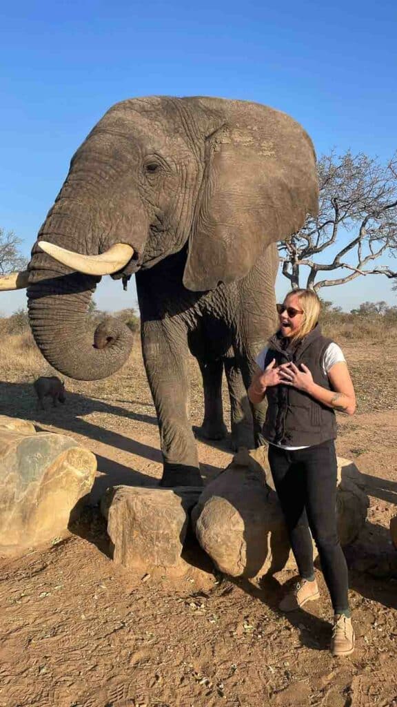 A girl standing next to an elephant at Jabulani Safari lodge.
