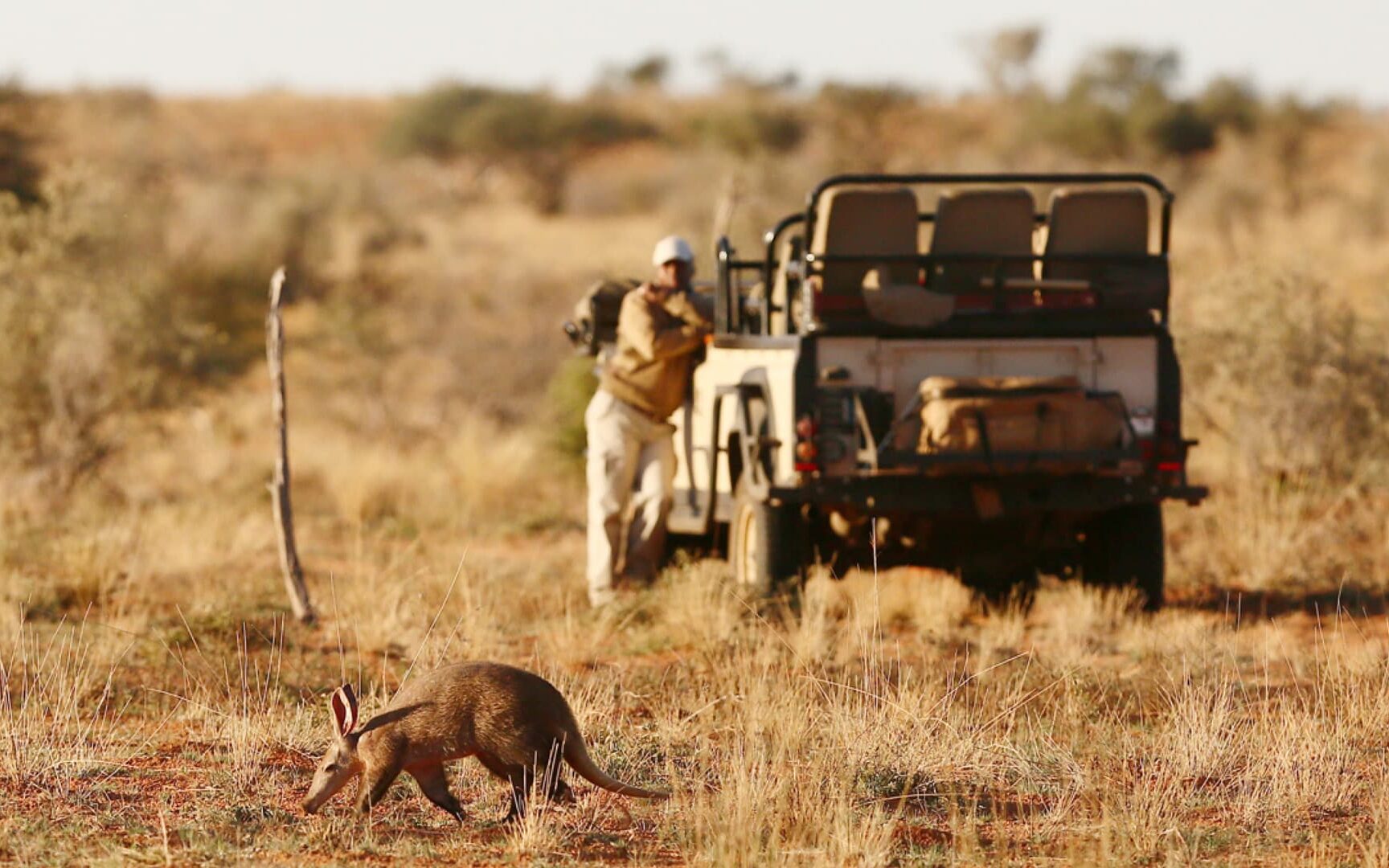 Malaria-free safaris