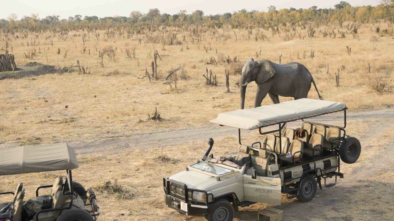 Somalisa Camp - Zimbabwe Victoria Falls