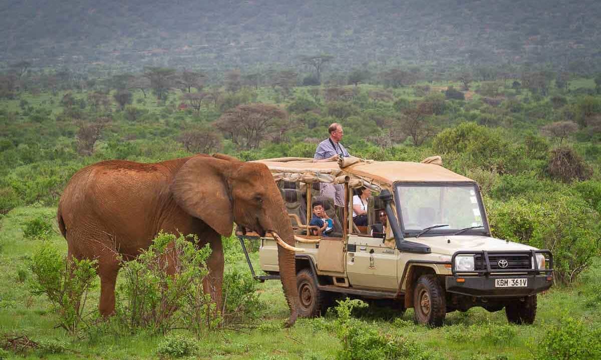 Elephant safari Elephant Bedroom Camp Samburu_3