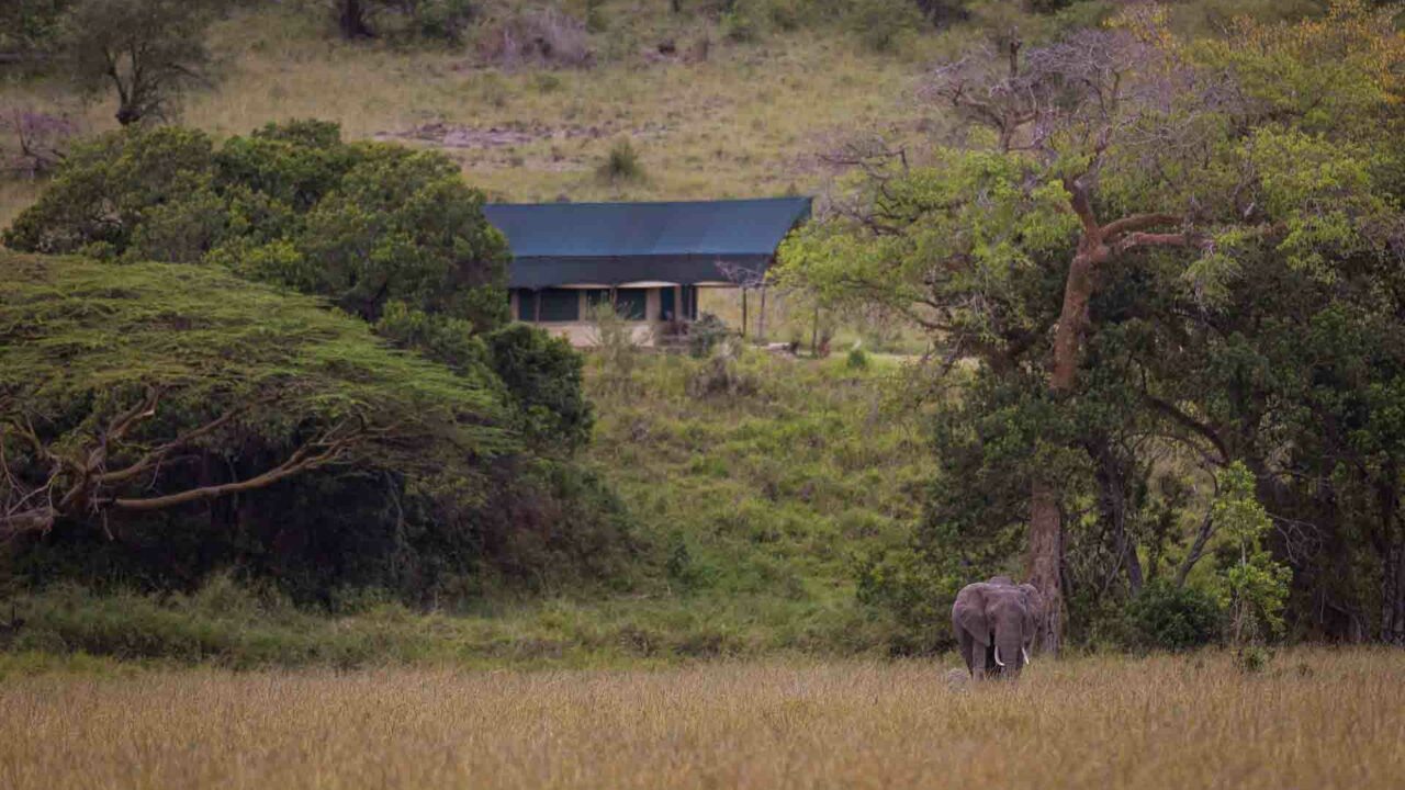 Elephant safari Kicheche Mara Camp_2