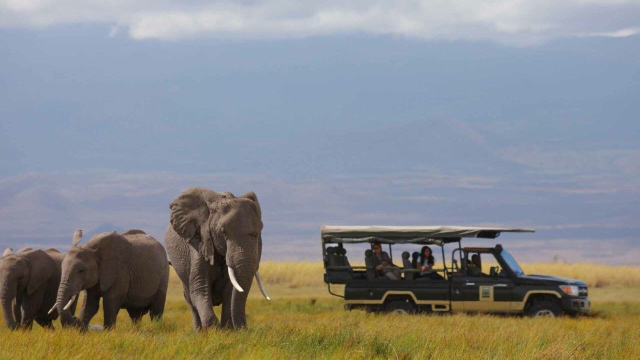 Elephant safari Tortilis Camp - Game Drive - Elephants1