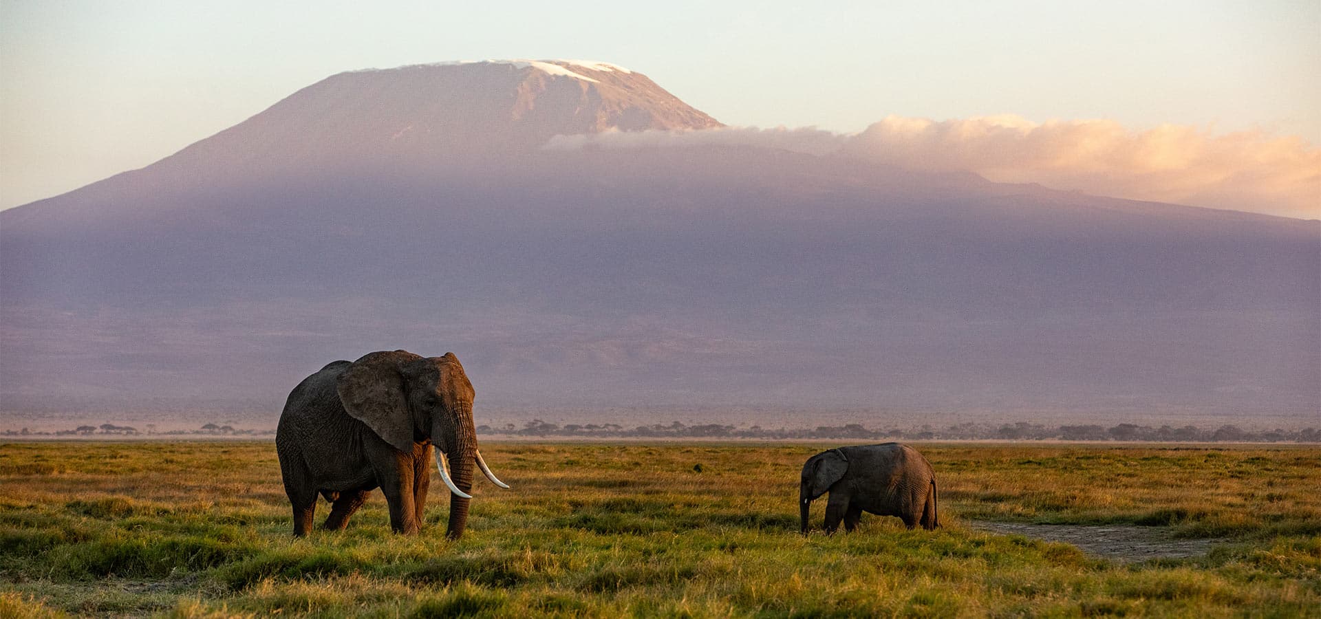 The Seven Natural Wonders of Africa  Ker Downey Africa