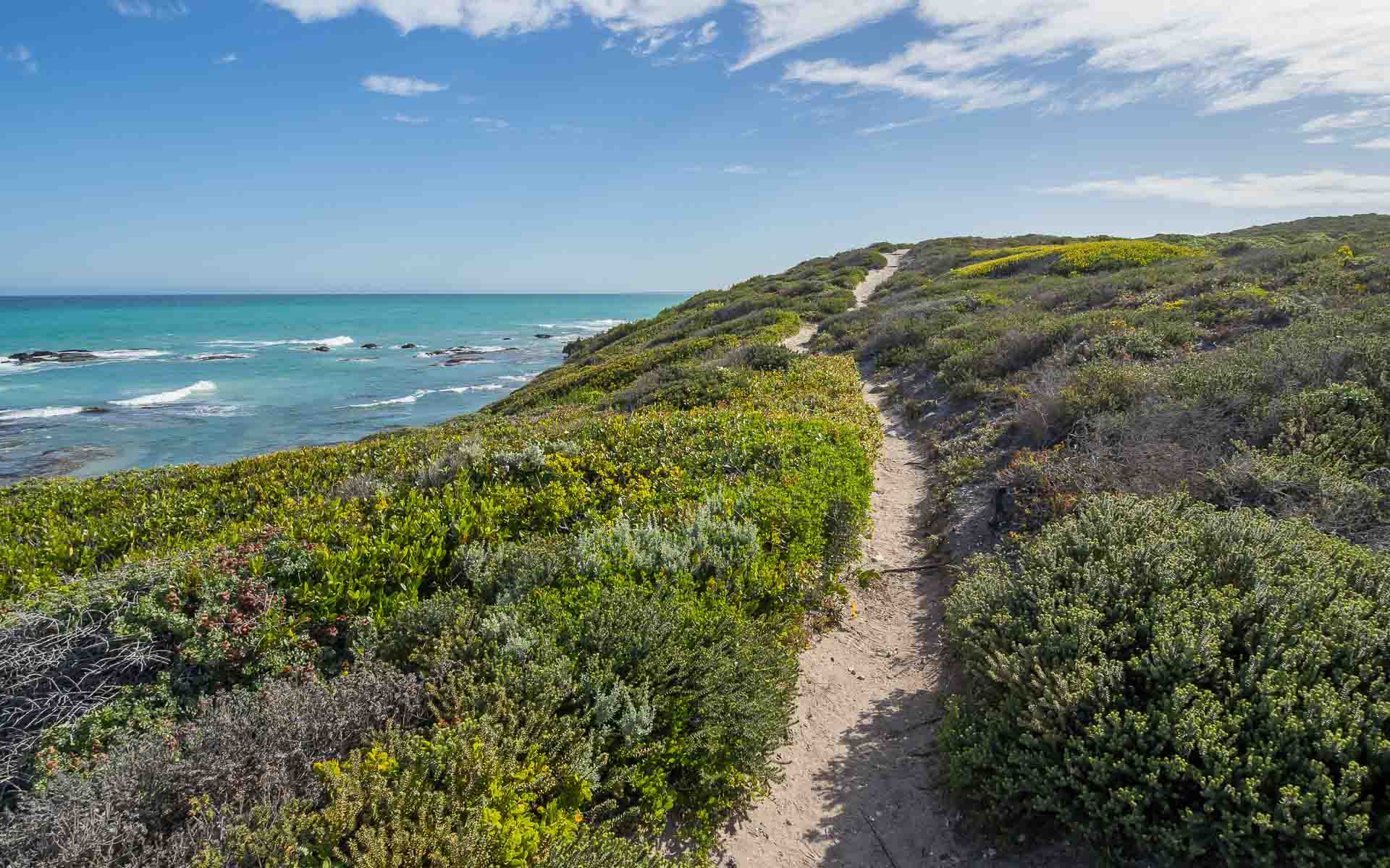 Overberg - De Hoop Nature Reserve - Walking path leading through the sand dunes at the ocean with coastal vegetation