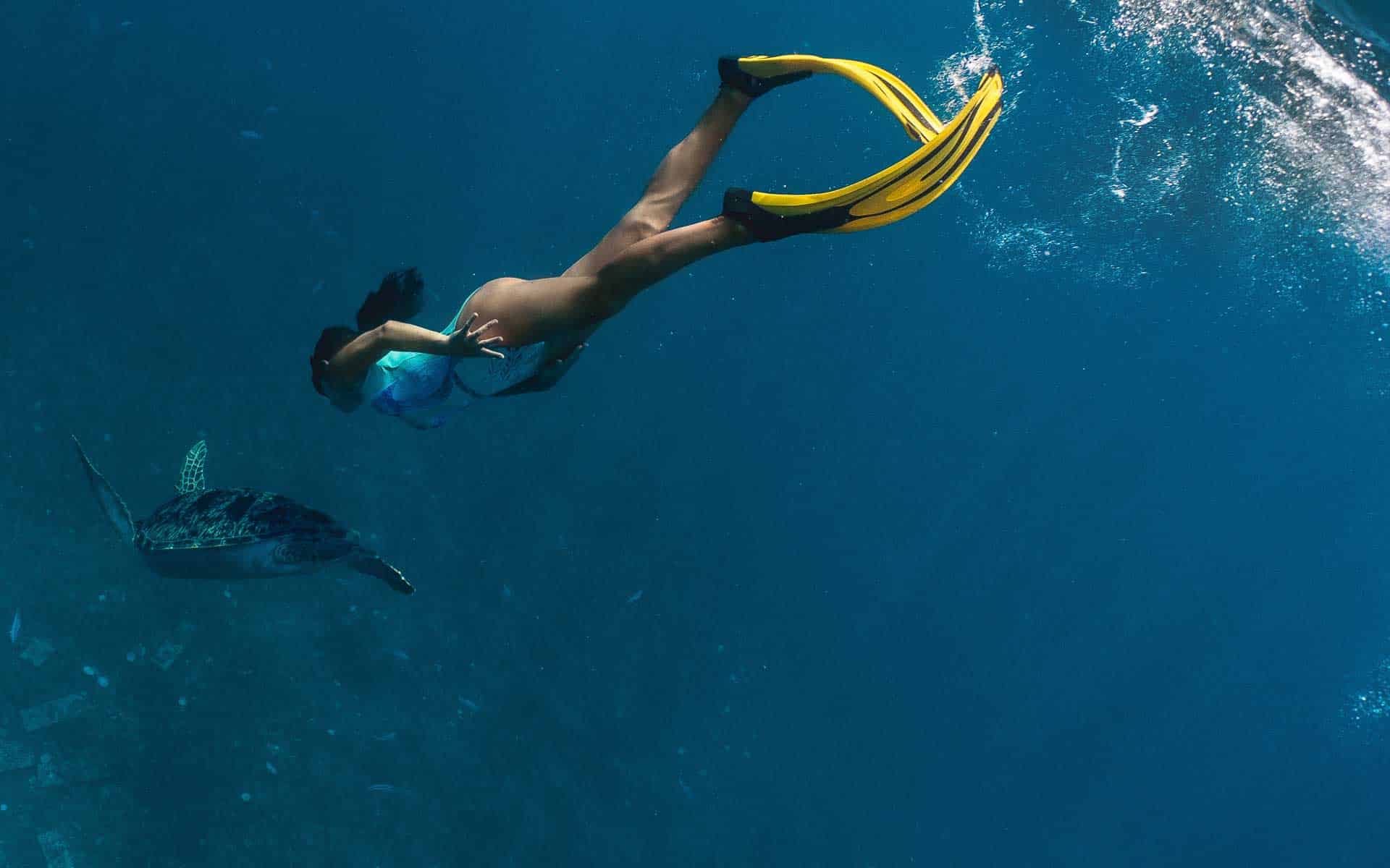 Marine safaris freediver pushes into the water surface after the turtle