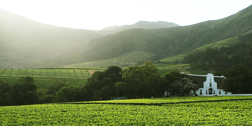 Historical Building and vineyards at Groot Constantia with Ker & Downey® Africa