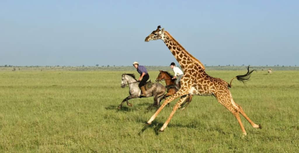 Adventure idea of horseback safari with Ker & Downey Africa