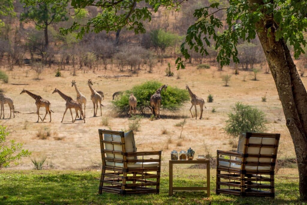 the waterhole at Stanley & Livingstone Boutique Hotel with a few giraffe