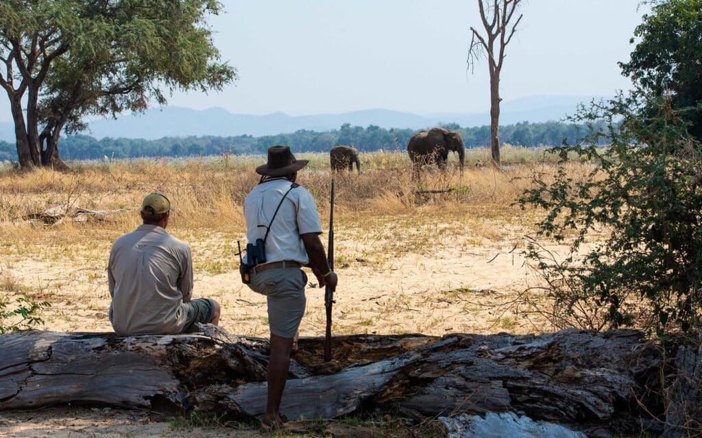 Walking experience Tembo Plains Camp with Ker & Downey Africa