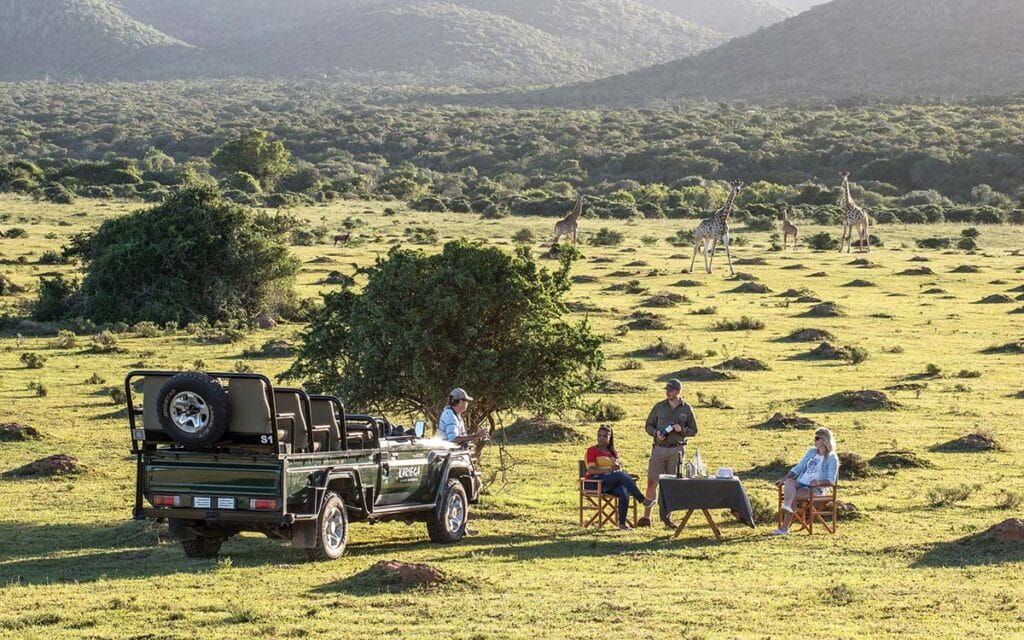 3 people on a private game drive at Kariega Homestead with giraffe in the background