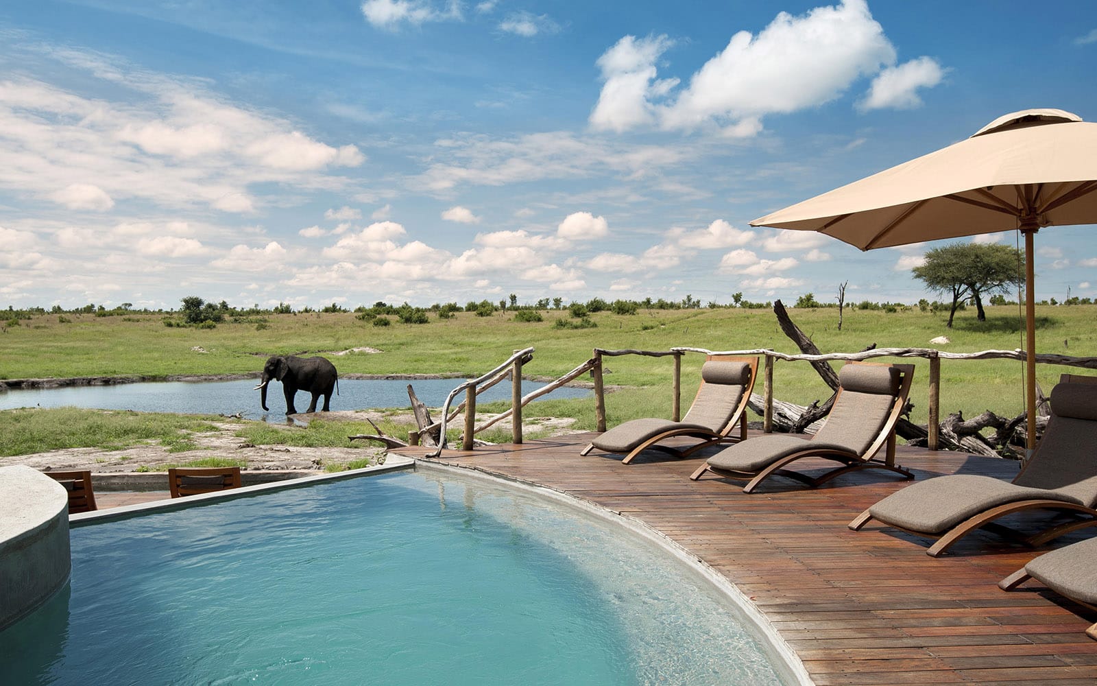 Elephant pool at Somalisa Camp with Ker & Downey Africa