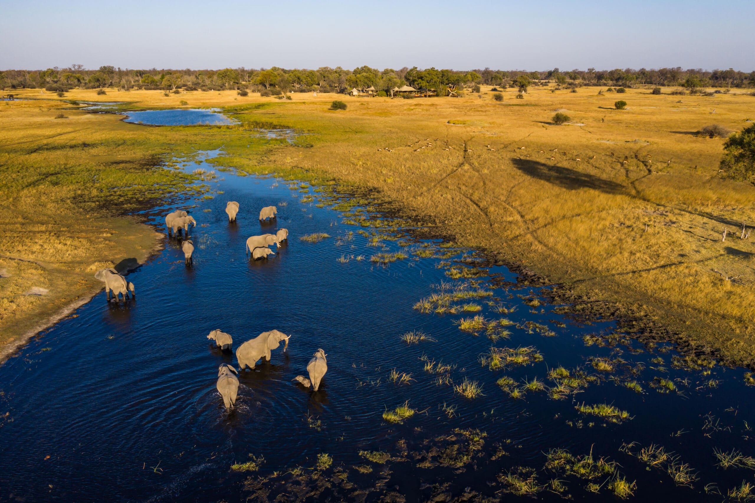 Where to go on your first safari