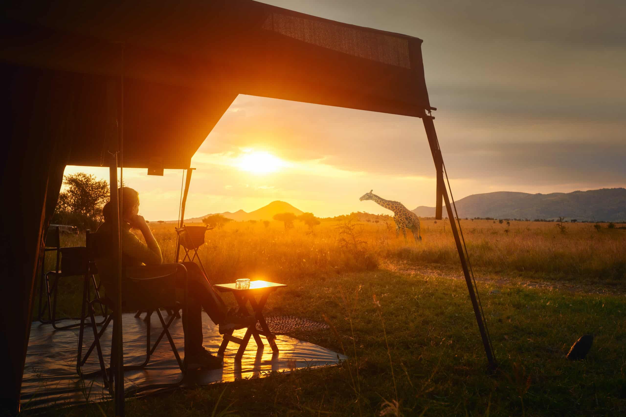 Where to go on your first safari