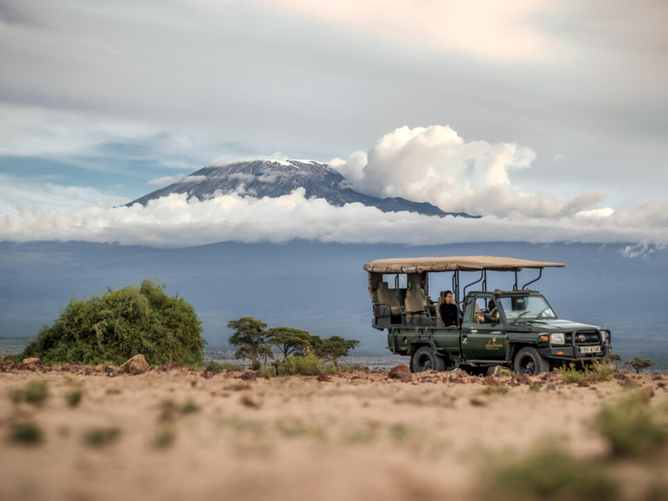 safari-january-kenya-amboseli-national-park